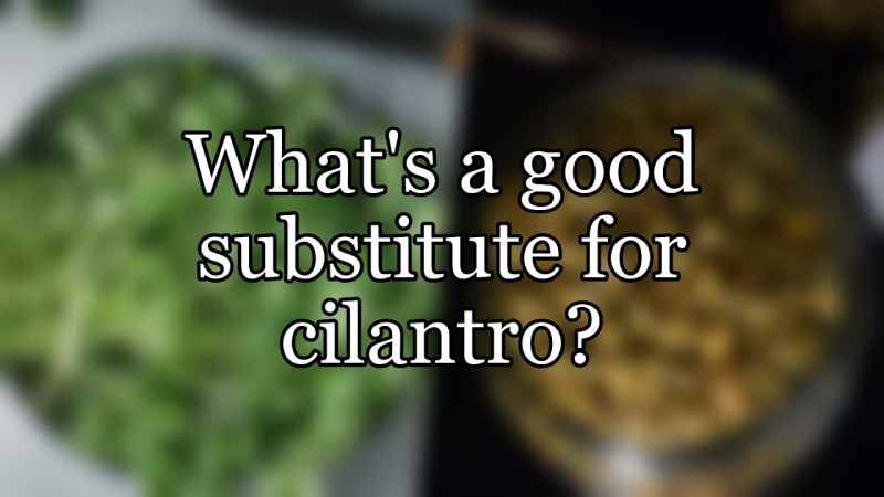 Substitute For Cilantro